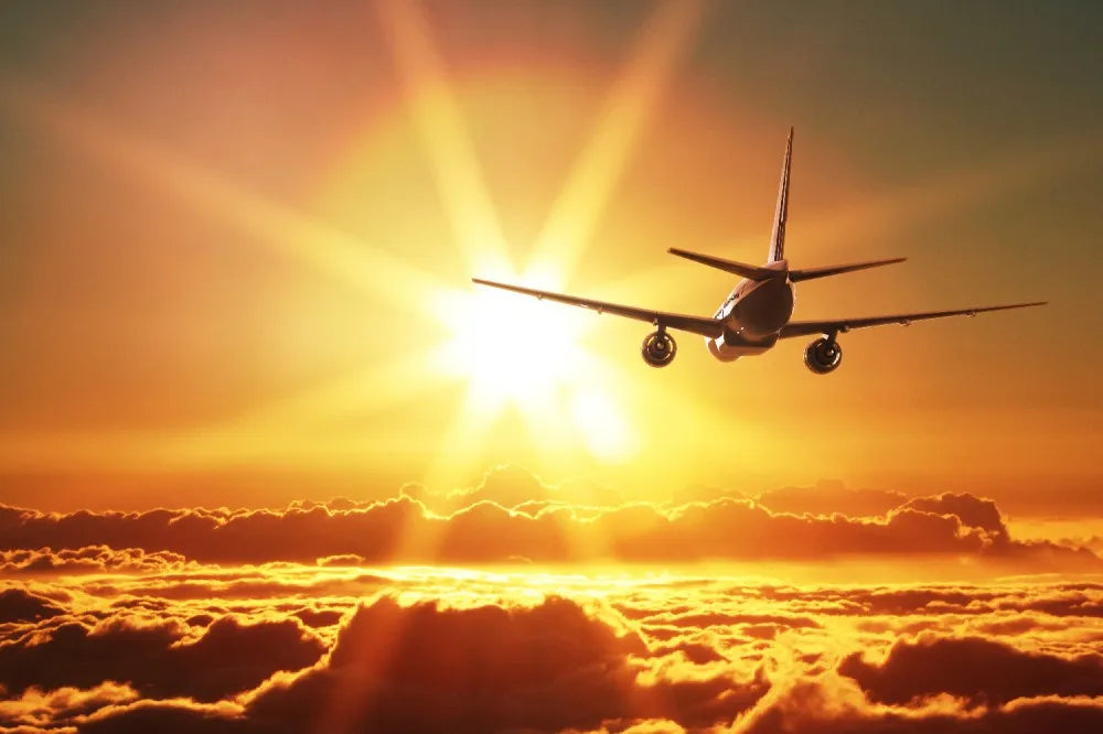 The plane in the sky