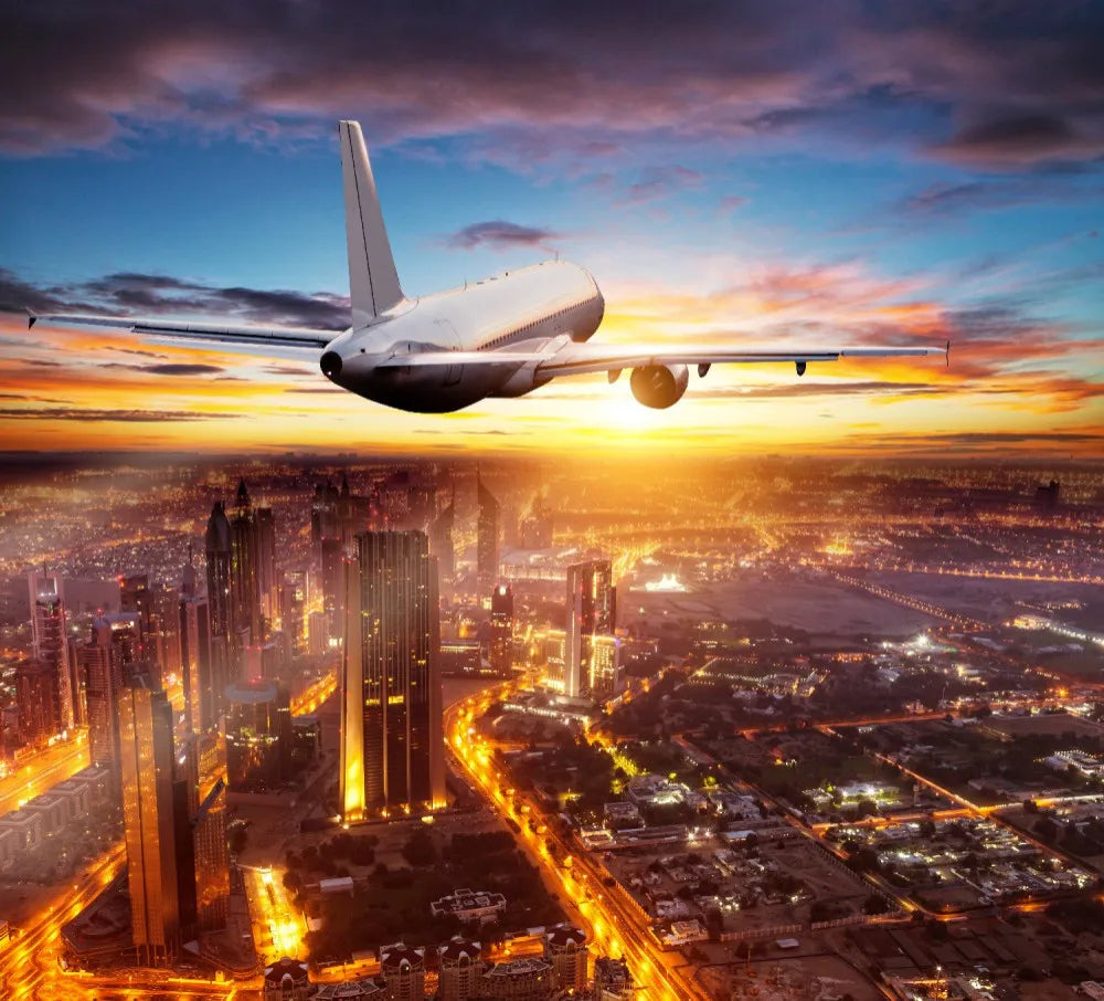 Plane over the city