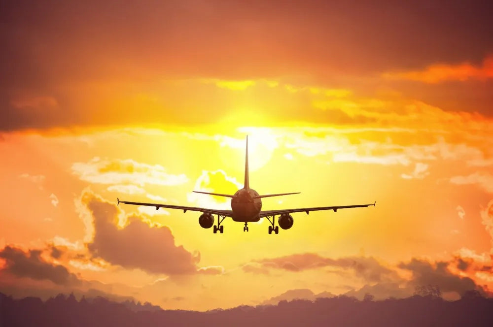 The plane