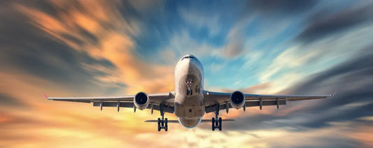 The plane