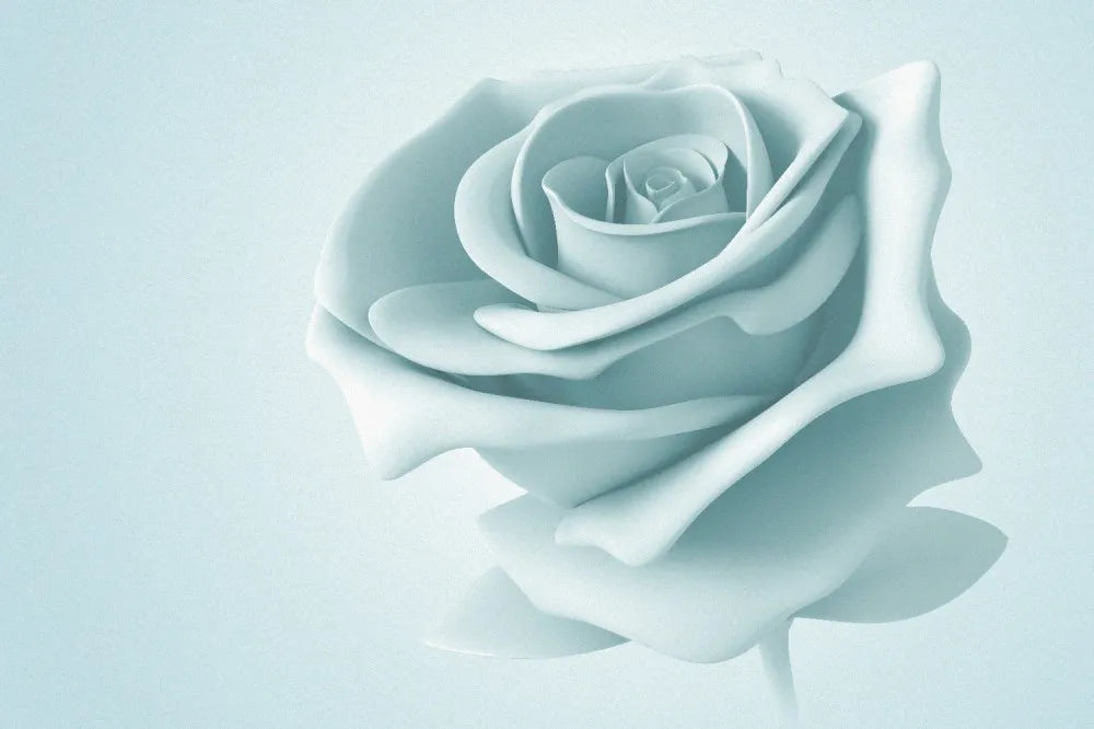 Rose 3D