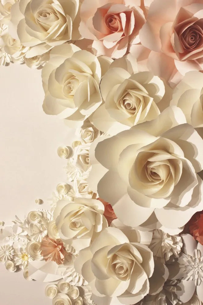 Graphic rose 3D