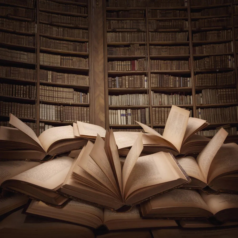 The books in the library 3D