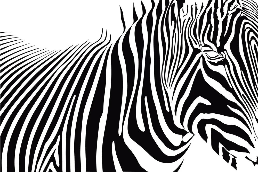 Zebra side