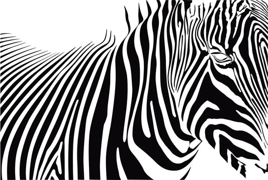 Zebra side