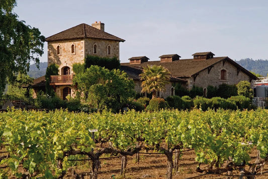 Wine Yard