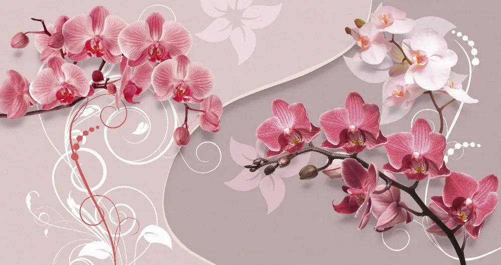 Orchids 3D