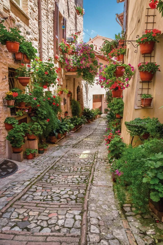Street in Italy