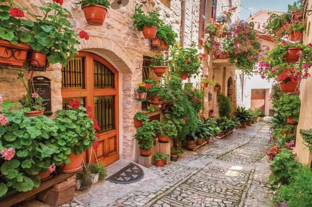 Yard in Italy