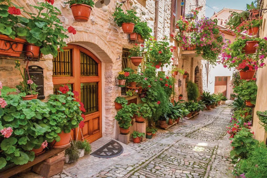 Yard in Italy