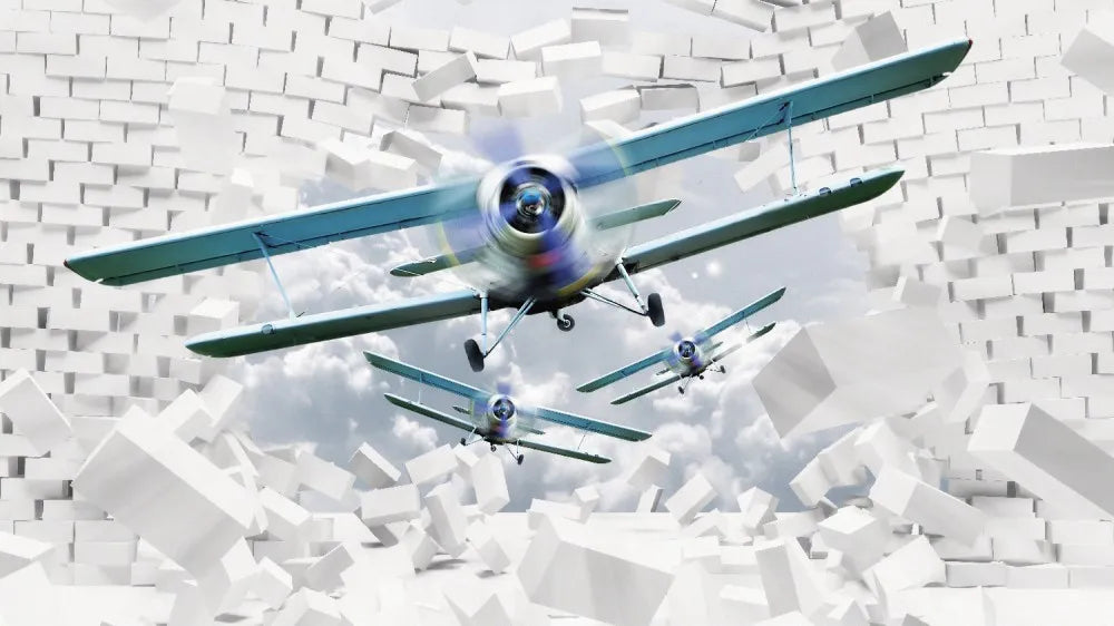 The plane brick wall