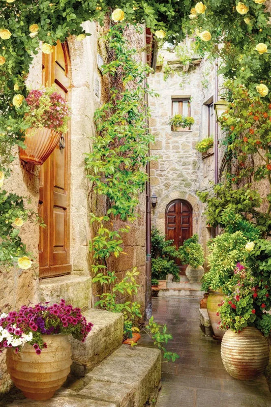 Patio in Spain