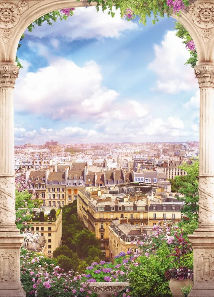Arch with a view over Paris