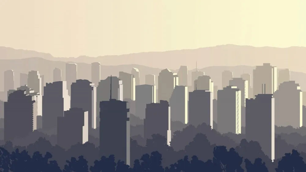 The city