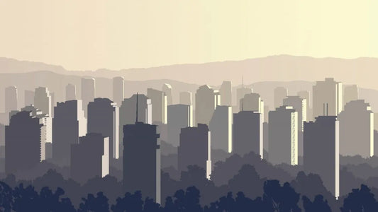The city