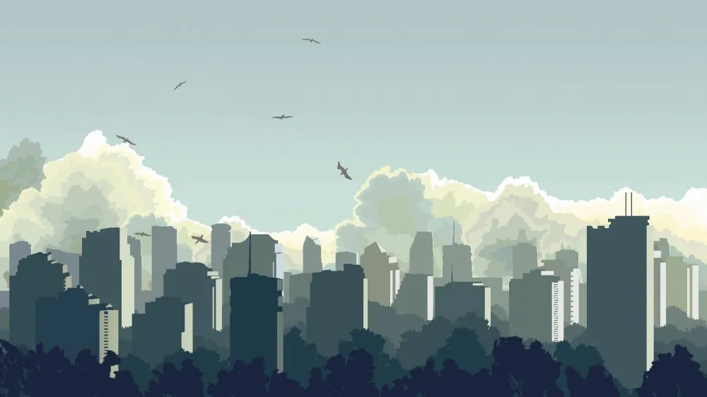 The city