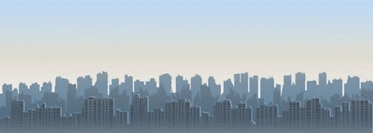 The city