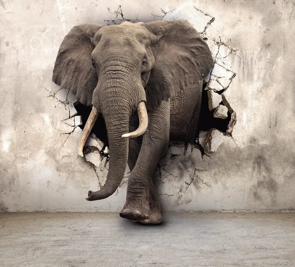 The elephant breaks the wall