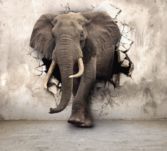 The elephant breaks the wall