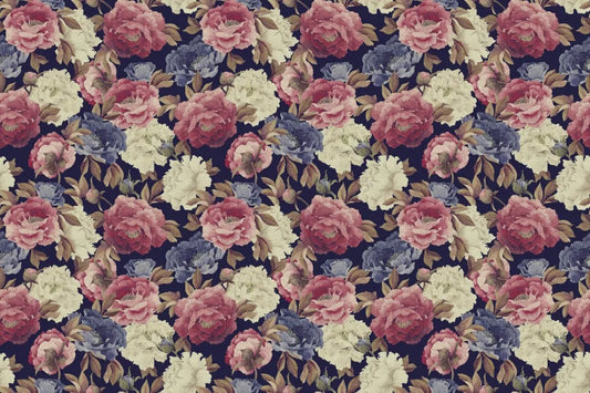Peonies, drawing