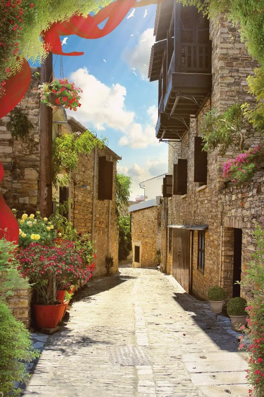 Street in France
