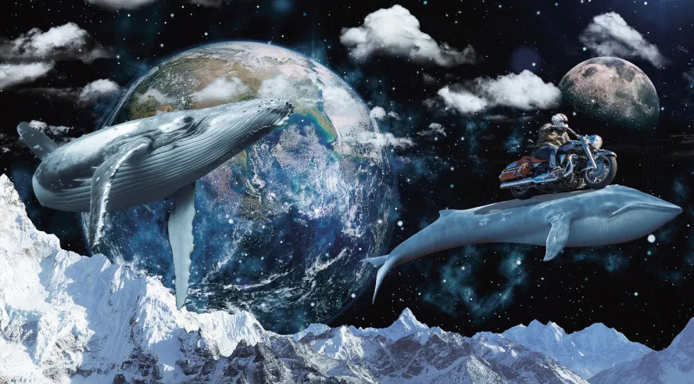 Whales in space