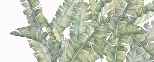 Palm leaves