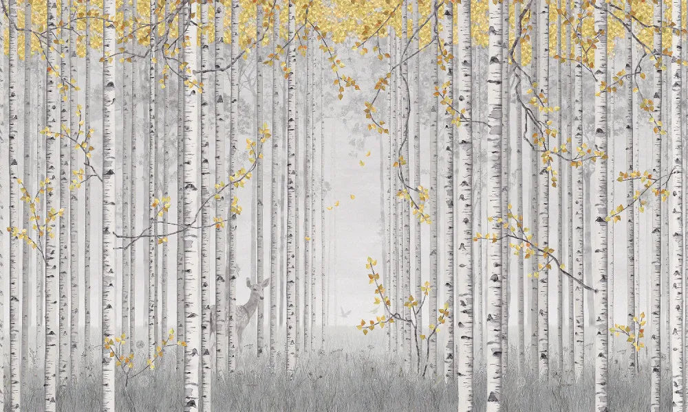 Birch, drawing