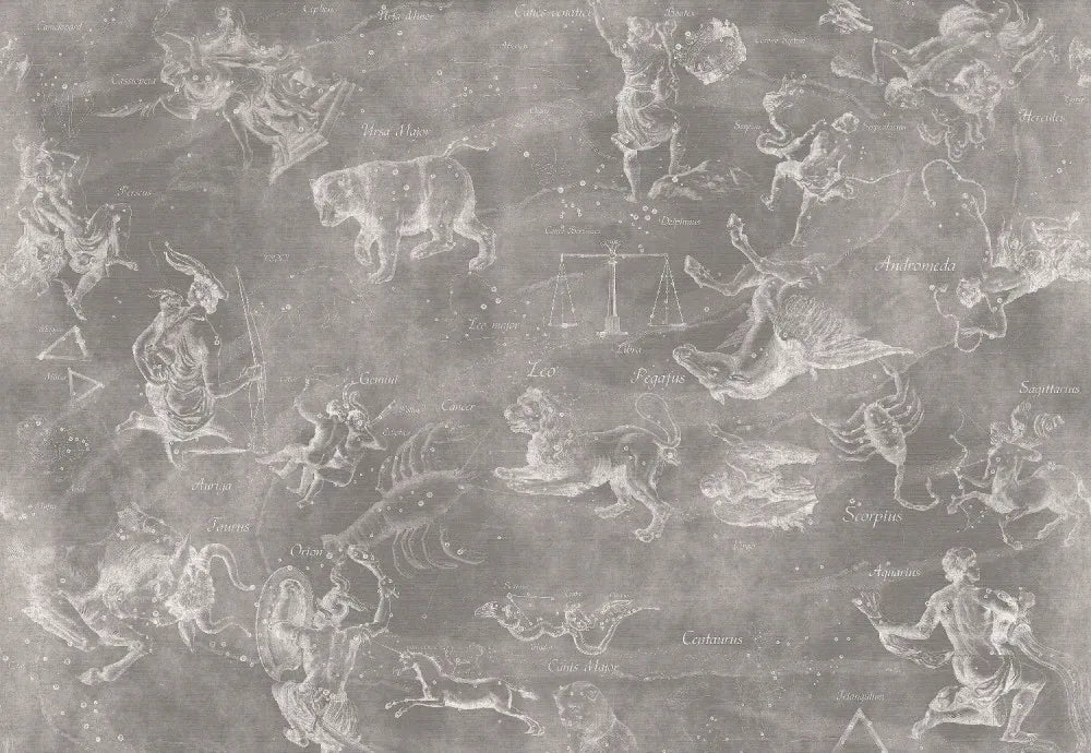 Zodiac signs and stars