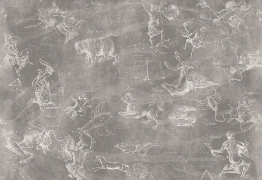 Zodiac signs and stars