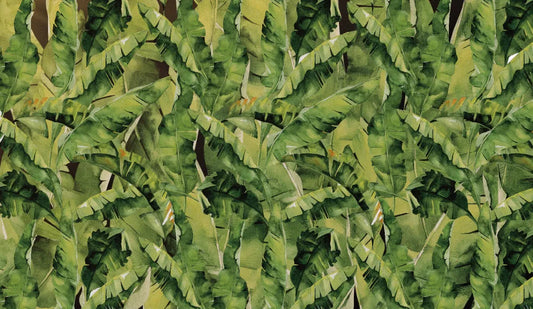 Palm leaves drawing