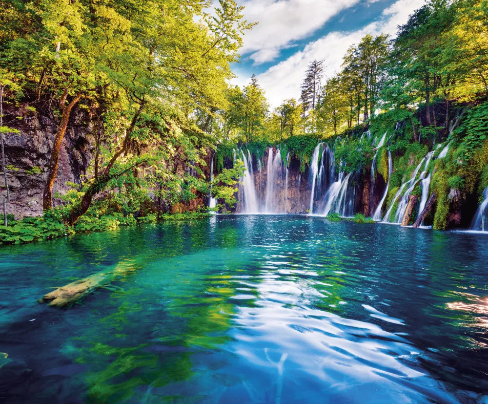 Waterfall in the forest