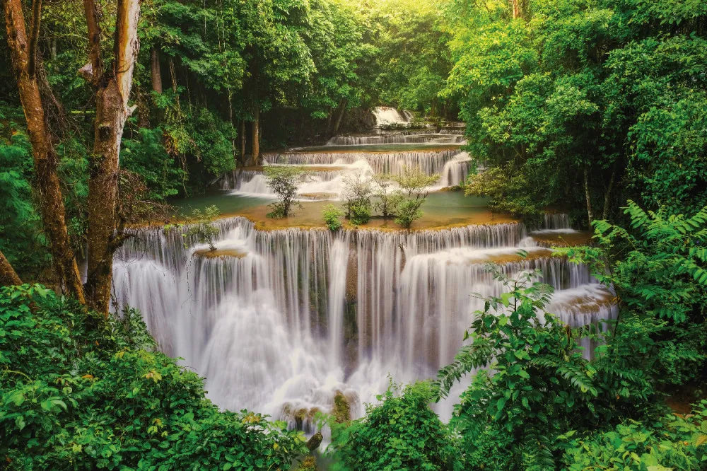 Waterfall in the forest