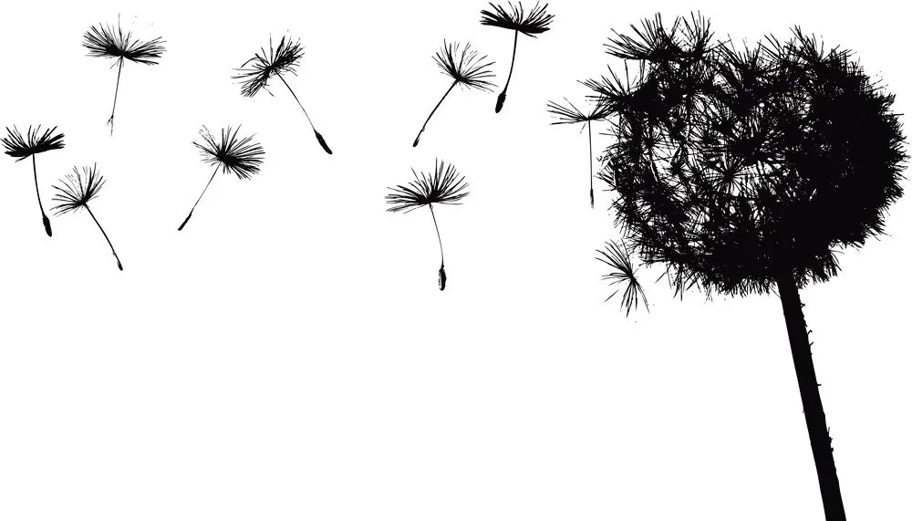 Dandelion in the wind
