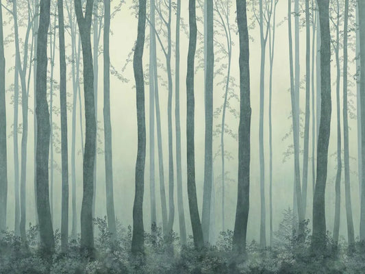 Green forest in the fog