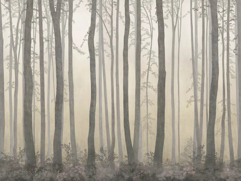 The evening in the misty forest