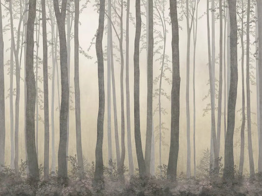 The evening in the misty forest