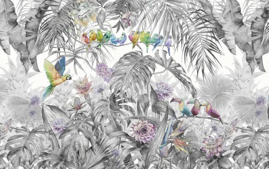 Rainforest and birds