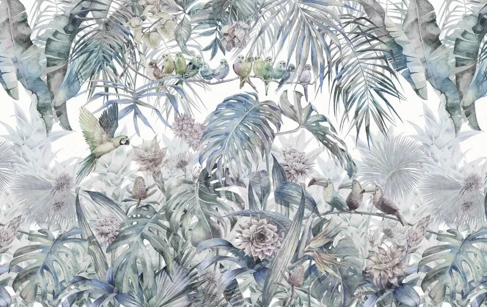 Birds and rainforest