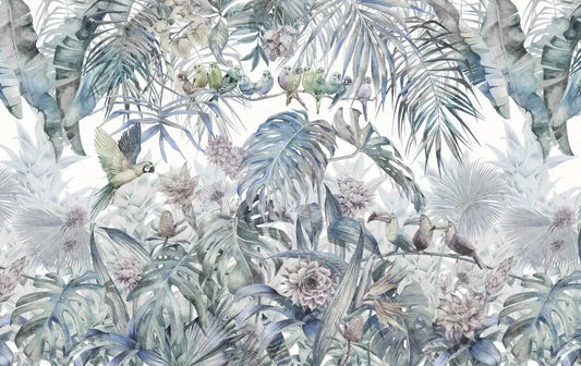 Birds and rainforest