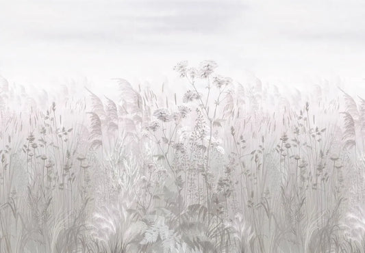 Evening wildflowers