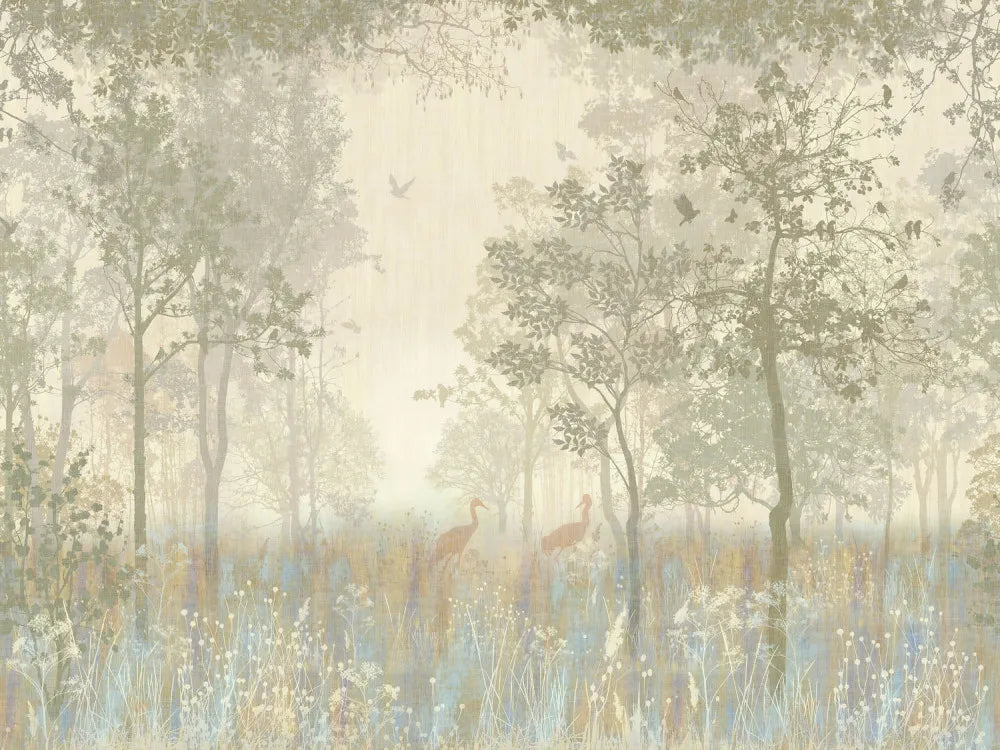 Early morning in the forest