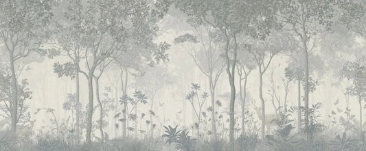 Foggy forest in the morning