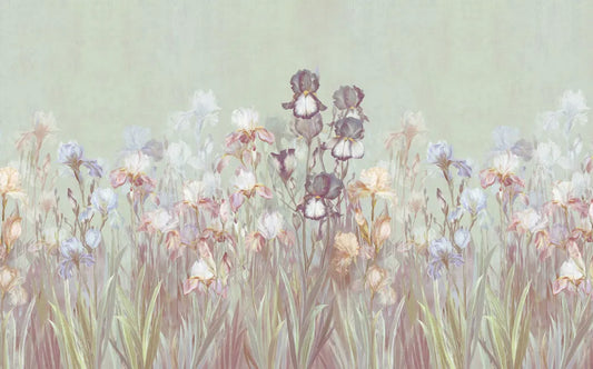 Colorful wildflowers
