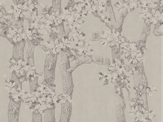 Owls on a beautiful tree