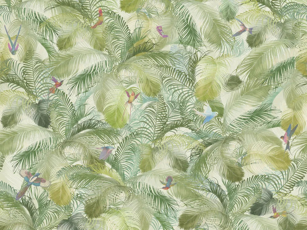 Birds in the rainforest