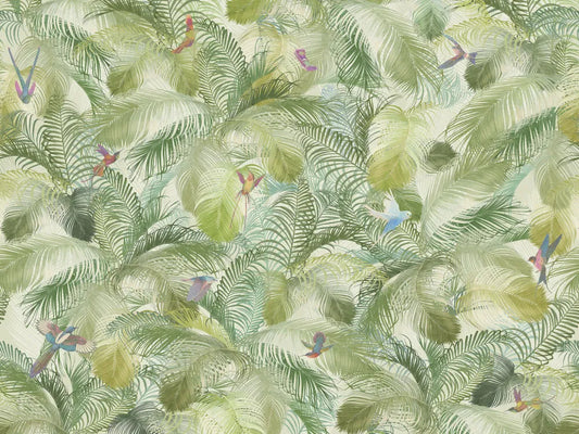 Birds in the rainforest