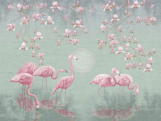 Flamingos in the pond