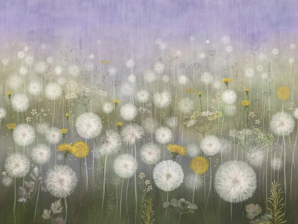 Colorful field of dandelions