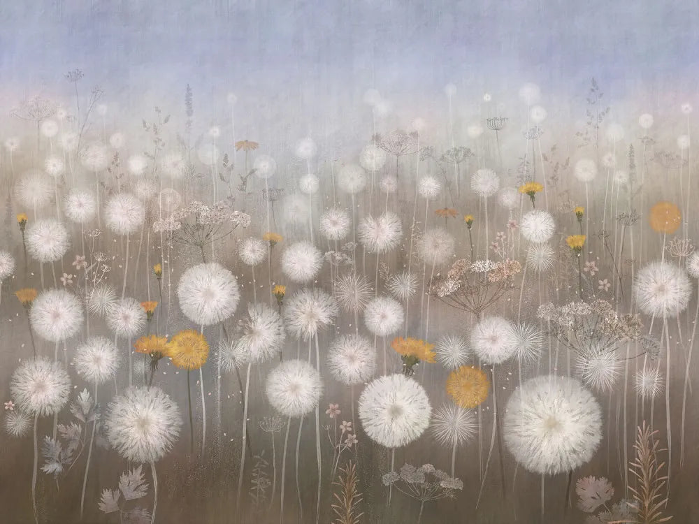 Field of dandelions at dawn